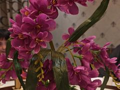 -马凯餐厅(长椿街店)