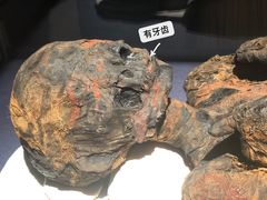 -浙江西湖美术馆