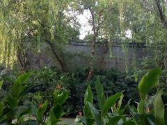 -盆景园(扬州大运河文化旅游度假区)