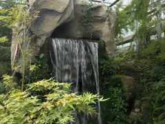 -南山植物园