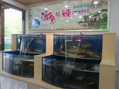 水产区-屯老二农家铁锅炖·行业领军者(梅江店)