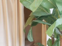 -筋骨堂热敷推拿按摩(枫林绿洲店)