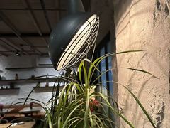 -Apollo·西班牙小酒馆(安福路店)