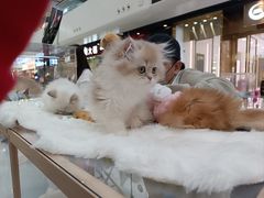 -万达广场(北京槐房店)