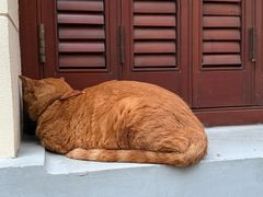 -上海新锦江大酒店