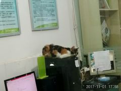 -瑞派宠物医院(锦江店)