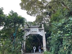 -梧桐山风景名胜区