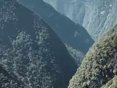 -武陵山森林公园