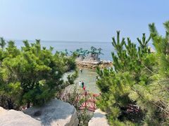 -养马岛旅游度假区