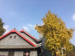 -四川大学(华西校区)