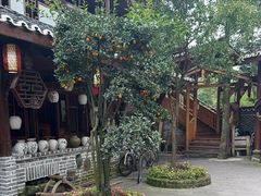 -青城甲(青城山店)