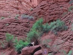 -天山神秘大峡谷