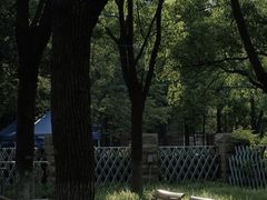 -上海吴淞炮台湾国家湿地公园