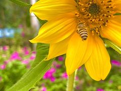 -馥家小馆(黔灵山公园店)