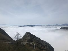 -朱雀国家森林公园