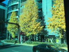 -东京希尔顿酒店