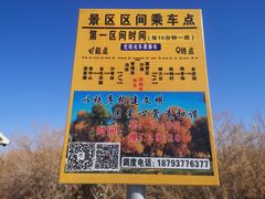 -金塔沙漠胡杨林景区