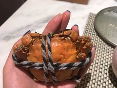 -都会尚膳·海鲜自助餐厅(重庆万豪酒店)