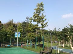 -重庆平顶山公园