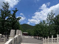 -晋祠公园
