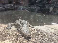-常州淹城野生动物世界