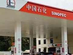 -中国石化戬浜加油站