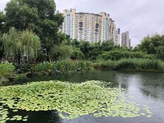 -苏州河梦清园环保主题公园