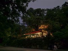 -云碧峰国家森林公园