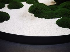 -曼格纳·曼芯馆(杨浦店)