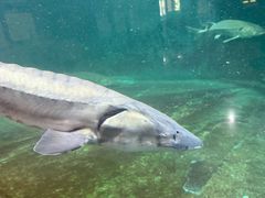 -洛阳龙门海洋馆