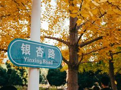 -辽宁大学(崇山校区)