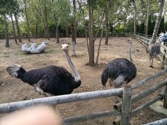 -大连森林动物园