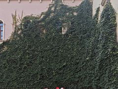 -华谊兄弟（长沙）电影小镇