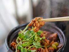 鸡鸡蛙蛙中煲-川香煲(茅台路店)
