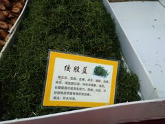 绞胶蓝-中天钢铁体育馆(南一门店)