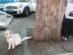 -北京国子监胡同