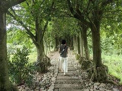 -皤滩古镇