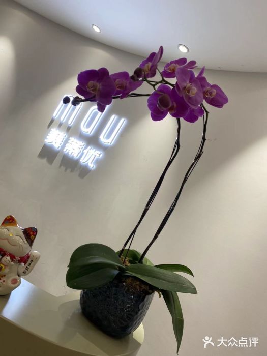 m·d·u美蒂优(虹桥丽宝广场店)图片