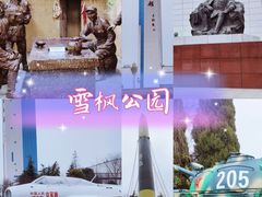 -雪枫公园