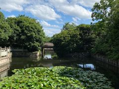 -西溪国家湿地公园