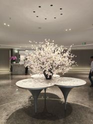 -广州美莱医疗美容医院