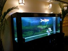 -鸥迪足道(时光海店)