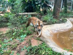 -昆明动物园