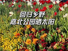 -嘉北郊野公园