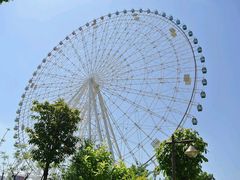 android_upload_pic-凤岭儿童公园