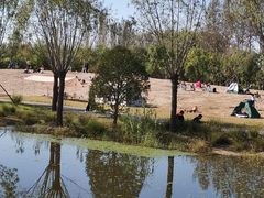 -东郊湿地公园