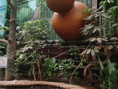 -呀路古热带植物园