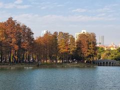 -四海公园(南山区)