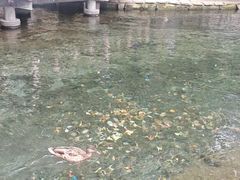 -水磨沟公园