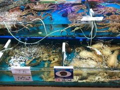 水产区-鸿港海鲜批发市场
